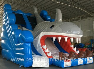 RSL560 5m~13m any size up to your choose