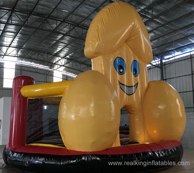 Rjc998 12ft/13ft/14ft/15ft/16ft/17ft any size up to your choose