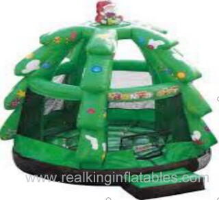 Chr168 3m-6m any design & size up to your choose