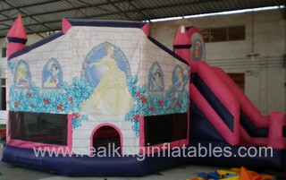 Rcm385 6x5x4m any theme and any size up to your choose