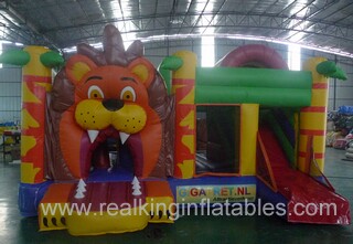 Rcm368 4.5x4.5x4m or any size up to your choose